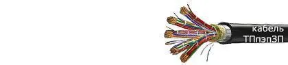Кабель ТПпэпЗП 500х2х0,5-200