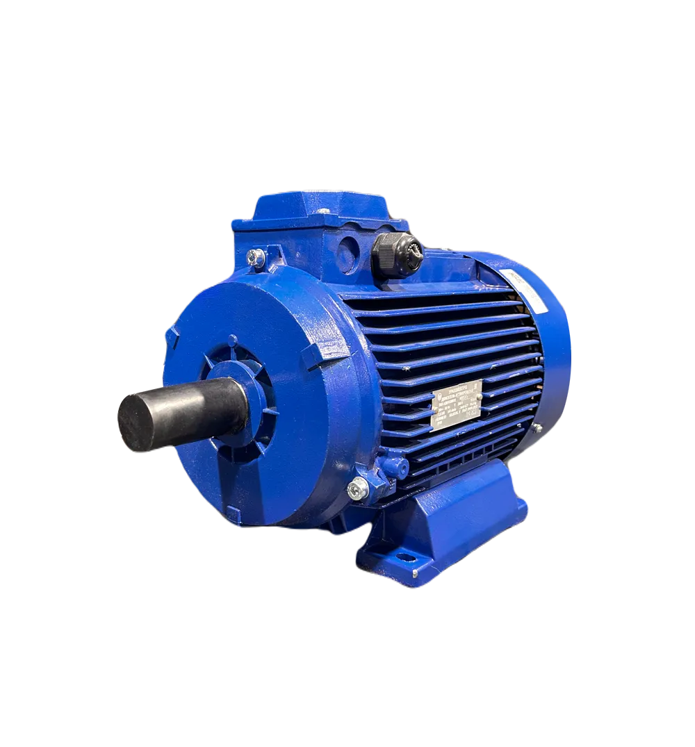 Общепромышленные электродвигатели —  АДМ 132S6