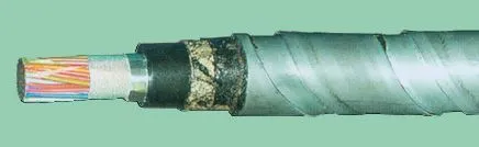 Кабель ТПппПЗБГ 20х2х0,64