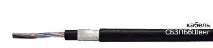 Кабель СБЗПБбШвнг 60х1,8