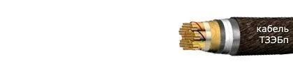 Кабель ТЗЭБп 27х4х1,2